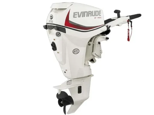 2018 Evinrude E-TEC 25 HP E25DTSL Outboard Motor