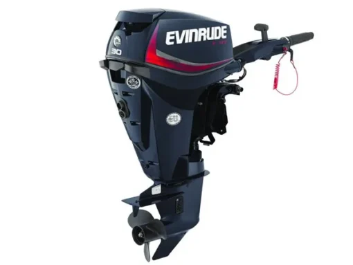 2018 Evinrude E-TEC 30 HP E30DRGL Outboard Motor