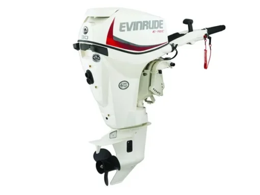 2018 Evinrude E-TEC 30 HP E30DTSL Outboard Motor