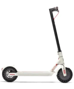 2024 Belize Buzz Slick 350W 36V Lithium Electric Scooter, 11301