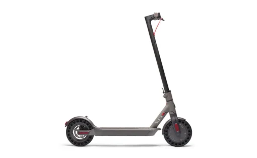 2024 Belize Buzz Slick 350W 36V Lithium Electric Scooter, 11301