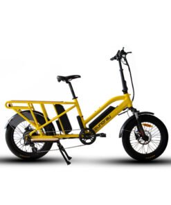 2024 Eunorau G30-CARGO 500W 48V Mid Motor 2 Person Family Electric Bike