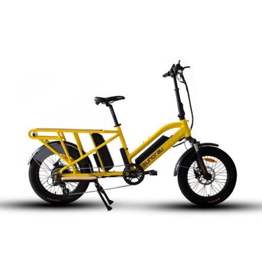 2024 Eunorau G30-CARGO 500W 48V Mid Motor 2 Person Family Electric Bike