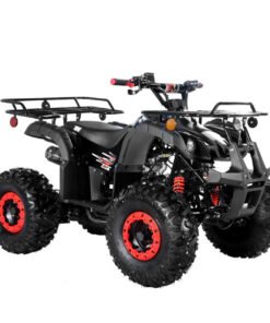 TrailMaster B125 125cc Utility ATV