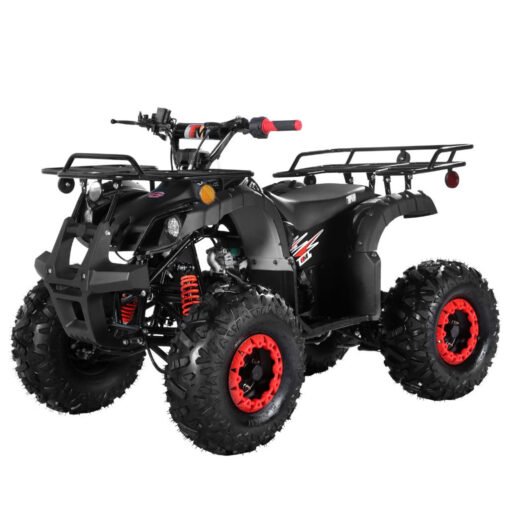 TrailMaster B125 125cc Utility ATV