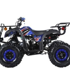 TrailMaster B125 125cc Utility ATV