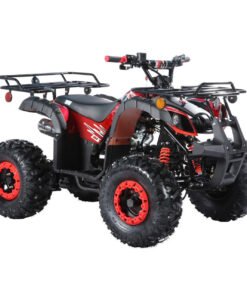 TrailMaster B125 125cc Utility ATV