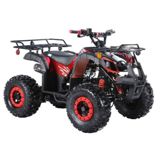 TrailMaster B125 125cc Utility ATV