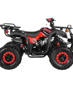 TrailMaster B125 125cc Utility ATV