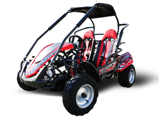 TrailMaster Blazer 200R Mid Go-Kart