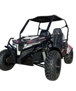 TrailMaster Cheetah 300E Go-Kart (EFI)