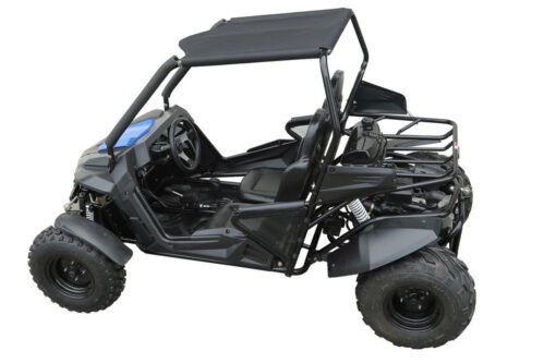 TrailMaster Cheetah 200E Go-Kart (EFI)
