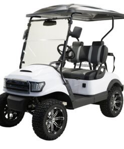 MASSIMO MGC2 48V GOLF CART UTV, 48V AC MOTOR