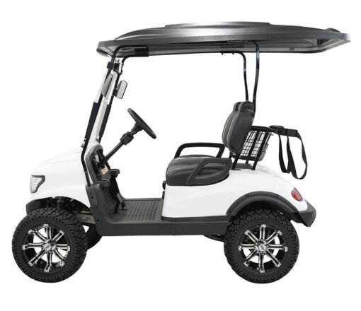 MASSIMO MGC2 48V GOLF CART UTV, 48V AC MOTOR