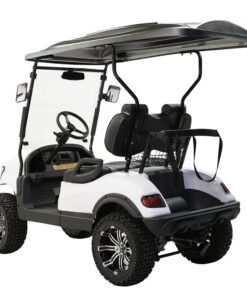 MASSIMO MGC2 48V GOLF CART UTV, 48V AC MOTOR