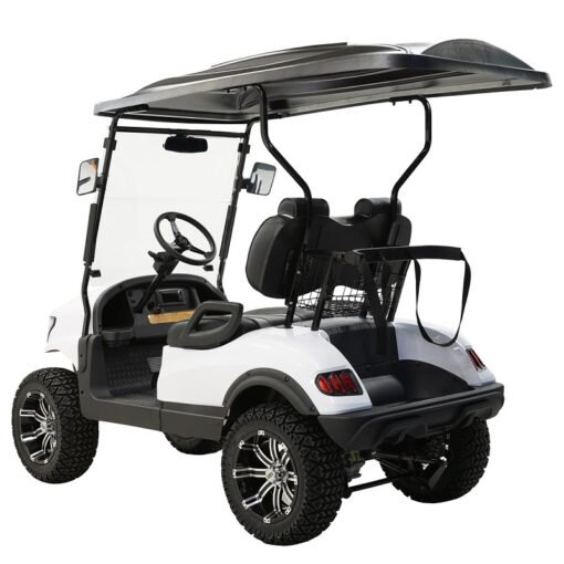 MASSIMO MGC2 48V GOLF CART UTV, 48V AC MOTOR