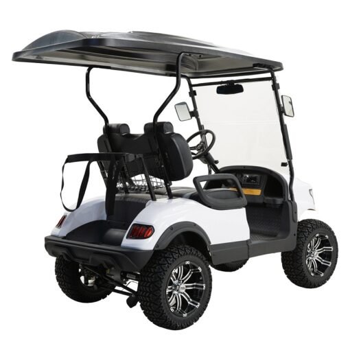 MASSIMO MGC2 48V GOLF CART UTV, 48V AC MOTOR