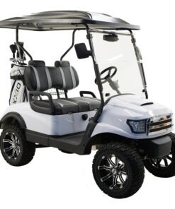 MASSIMO MGC2 48V GOLF CART UTV, 48V AC MOTOR