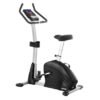 Fitnex B55SG Home Upright Cardio Exercise Bike